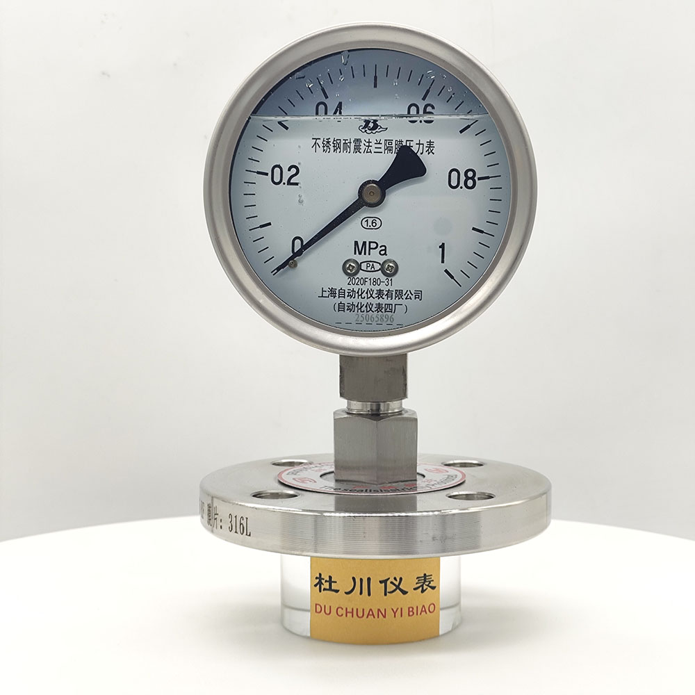 上海自動(dòng)化YNTP100BF，DN25法蘭，1mpa.jpg